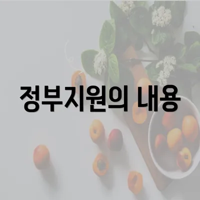 정부지원의 내용