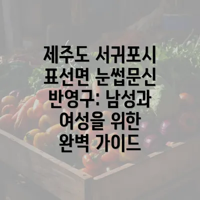 제주도 서귀포시 표선면 눈썹문신 반영구: 남성과 여성을 위한 완벽 가이드
