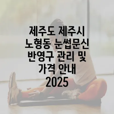 제주도 제주시 노형동 눈썹문신 반영구 관리 및 가격 안내 2025