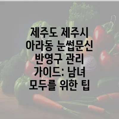 제주도 제주시 아라동 눈썹문신 반영구 관리 가이드: 남녀 모두를 위한 팁