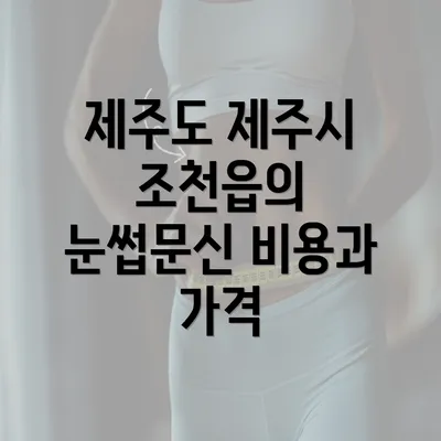 제주도 제주시 조천읍의 눈썹문신 비용과 가격