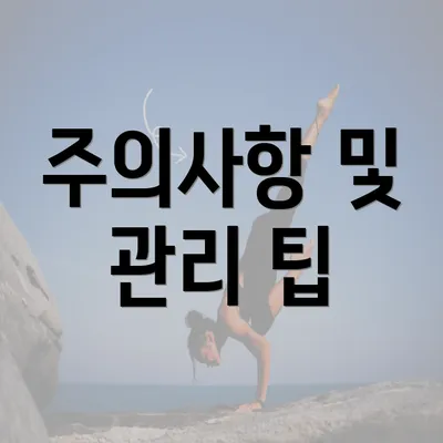 주의사항 및 관리 팁