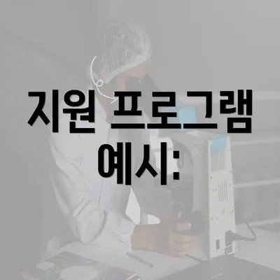 지원 프로그램 예시: