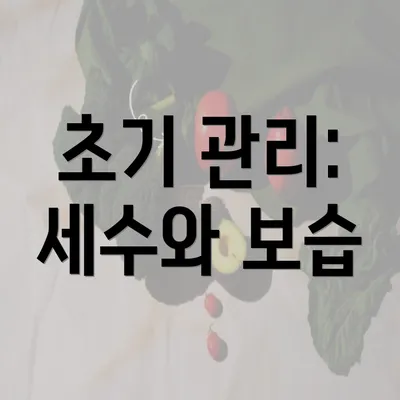 초기 관리: 세수와 보습