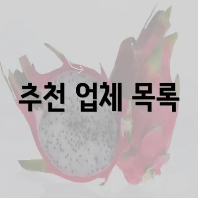 추천 업체 목록