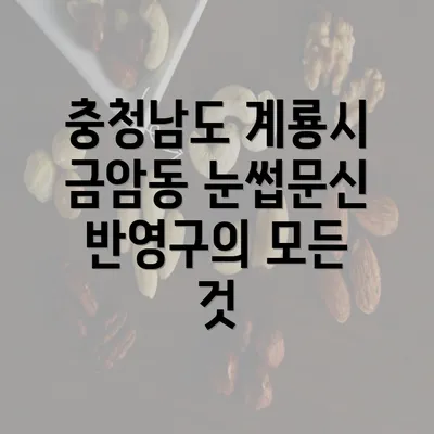 충청남도 계룡시 금암동 눈썹문신 반영구의 모든 것