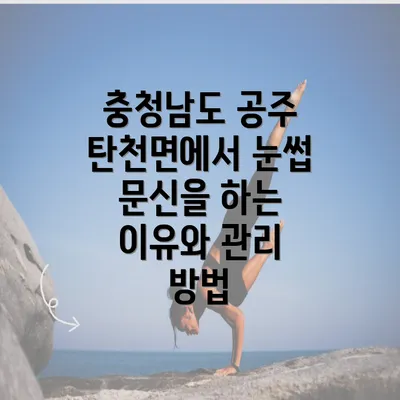 충청남도 공주 탄천면에서 눈썹 문신을 하는 이유와 관리 방법