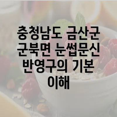 충청남도 금산군 군북면 눈썹문신 반영구의 기본 이해