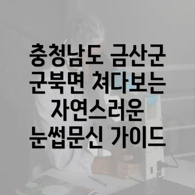 충청남도 금산군 군북면 쳐다보는 자연스러운 눈썹문신 가이드