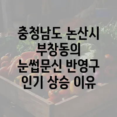 충청남도 논산시 부창동의 눈썹문신 반영구 인기 상승 이유