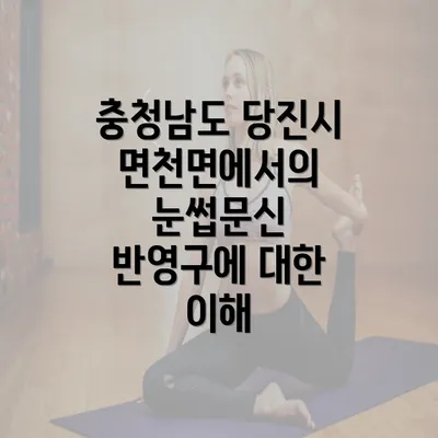 충청남도 당진시 면천면에서의 눈썹문신 반영구에 대한 이해