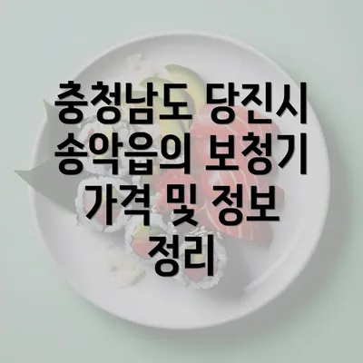 충청남도 당진시 송악읍의 보청기 가격 및 정보 정리