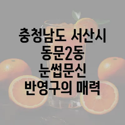 충청남도 서산시 동문2동 눈썹문신 반영구의 매력