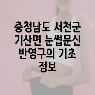 충청남도 서천군 기산면 눈썹문신 반영구의 기초 정보