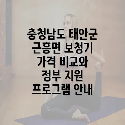 충청남도 태안군 근흥면 보청기 가격 비교와 정부 지원 프로그램 안내