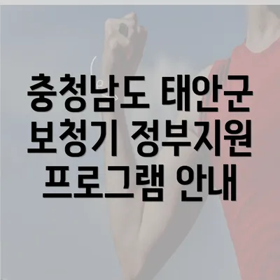 충청남도 태안군 보청기 정부지원 프로그램 안내