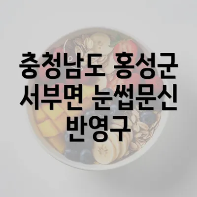 충청남도 홍성군 서부면 눈썹문신 반영구