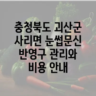 충청북도 괴산군 사리면 눈썹문신 반영구 관리와 비용 안내