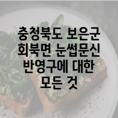 충청북도 보은군 회북면 눈썹문신 반영구에 대한 모든 것