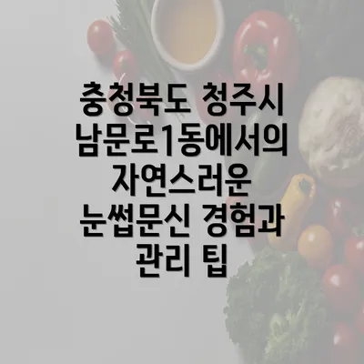 충청북도 청주시 남문로1동에서의 자연스러운 눈썹문신 경험과 관리 팁