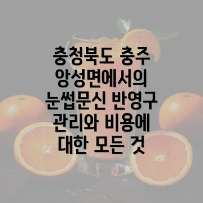 충청북도 충주 앙성면에서의 눈썹문신 반영구 관리와 비용에 대한 모든 것