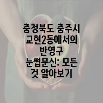 충청북도 충주시 교현2동에서의 반영구 눈썹문신: 모든 것 알아보기