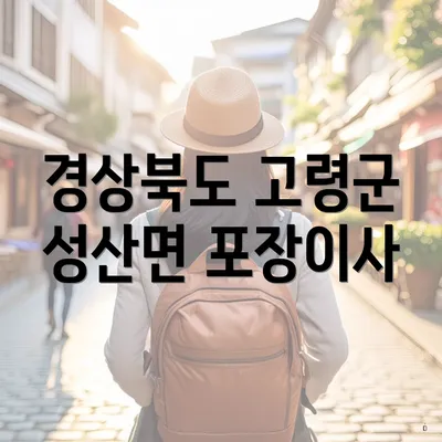 경상북도 고령군 성산면 포장이사