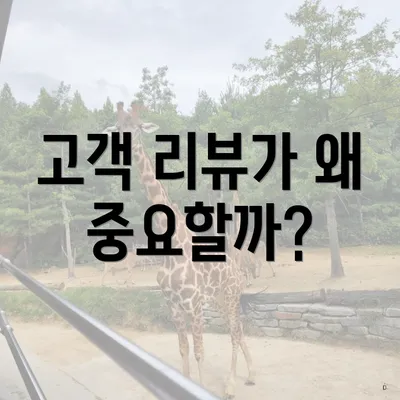 고객 리뷰가 왜 중요할까?