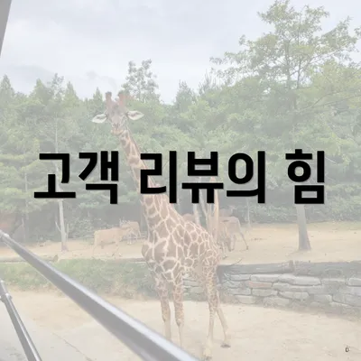 고객 리뷰의 힘