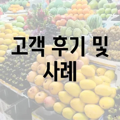 고객 후기 및 사례