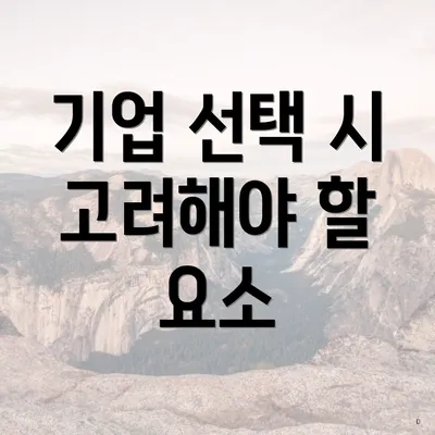 기업 선택 시 고려해야 할 요소