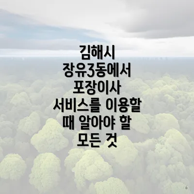 김해시 장유3동에서 포장이사 서비스를 이용할 때 알아야 할 모든 것