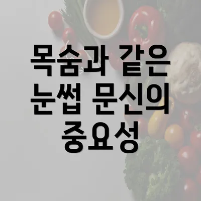 목숨과 같은 눈썹 문신의 중요성