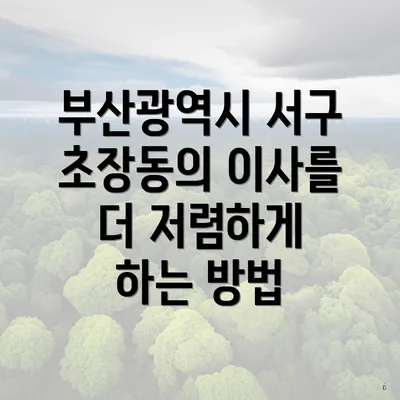 부산광역시 서구 초장동의 이사를 더 저렴하게 하는 방법
