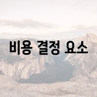 비용 결정 요소