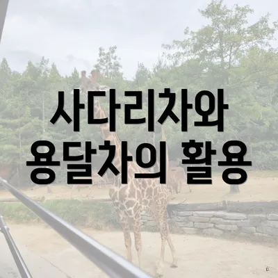 사다리차와 용달차의 활용