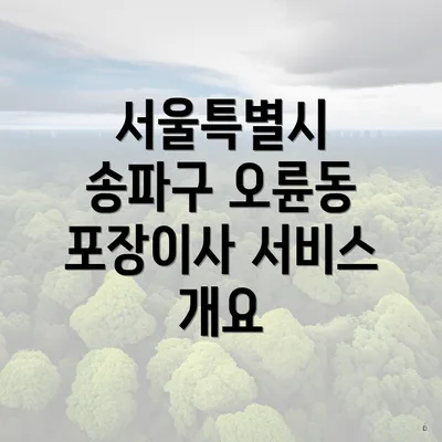 서울특별시 송파구 오륜동 포장이사 서비스 개요