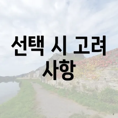 선택 시 고려 사항