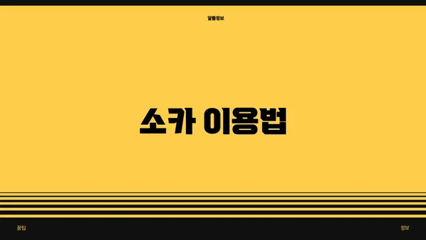 소카 이용법