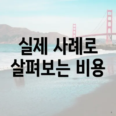 실제 사례로 살펴보는 비용
