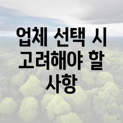 업체 선택 시 고려해야 할 사항