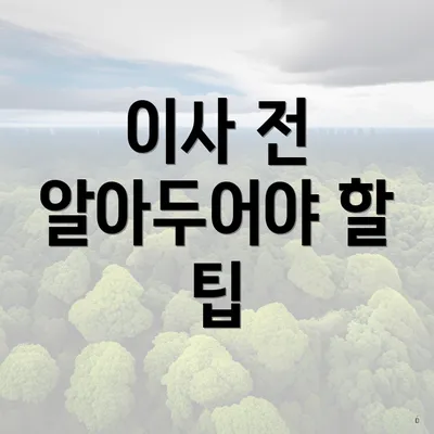 이사 전 알아두어야 할 팁