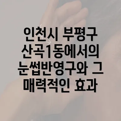 인천시 부평구 산곡1동에서의 눈썹반영구와 그 매력적인 효과