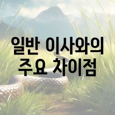 일반 이사와의 주요 차이점