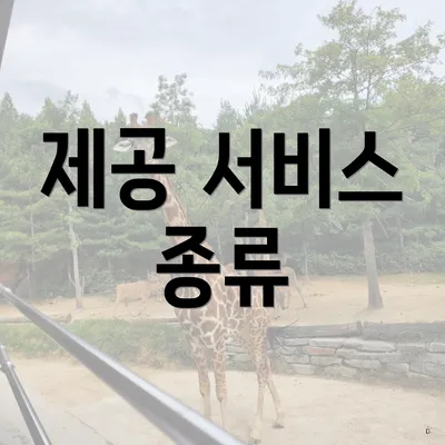 제공 서비스 종류
