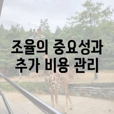 조율의 중요성과 추가 비용 관리