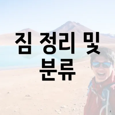 짐 정리 및 분류
