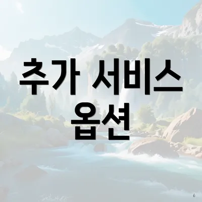 추가 서비스 옵션