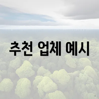 추천 업체 예시