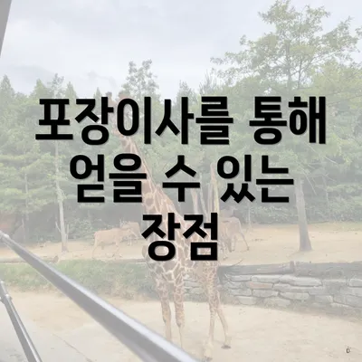포장이사를 통해 얻을 수 있는 장점